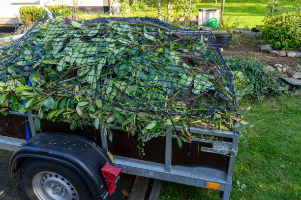 Recycling Services for Junk in Bellerose Terrace, NY